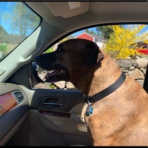 Meet your Posher, Stacey